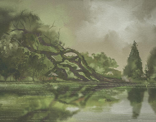 Gnarled Tree Reflection Art Print by Josie George