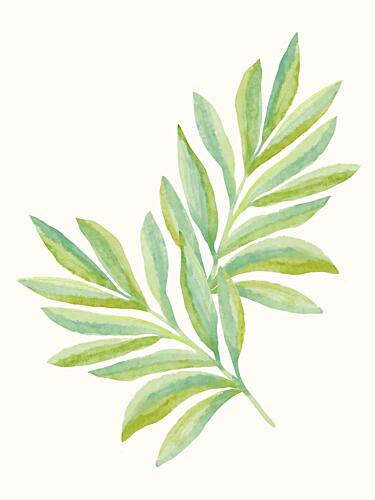 Gentle Green Branches Art Print