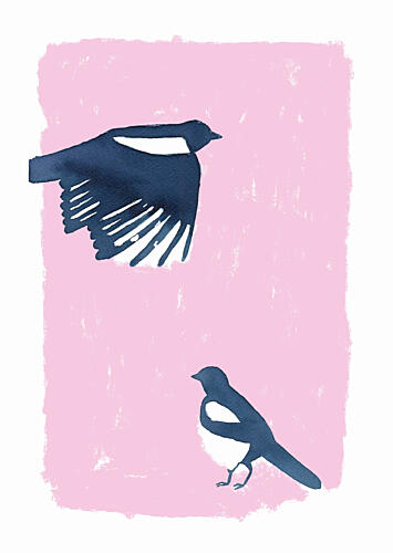 Pink Sky Magpies Art Print by Carola Cedell