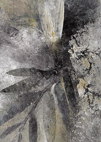 Dark Nature Abstract Art Print