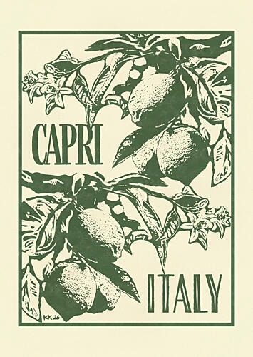 Capri Italy Lemons Européen reproduction