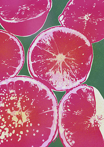 Pink Citrus Slices Alimentation reproduction