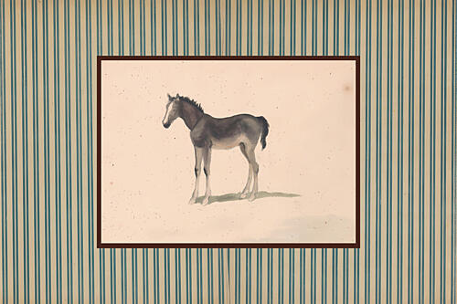 Gentle Foal Portrait Art Print by The Art Concept