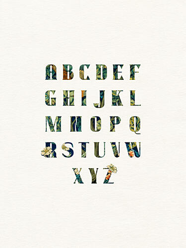 Elegant Floral Alphabet Art Print by Wild Violets