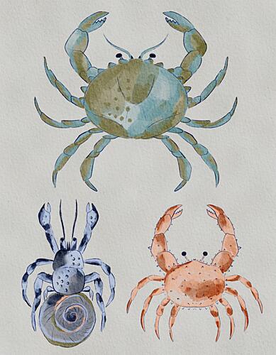 Ocean Crabs Watercolor Art Print
