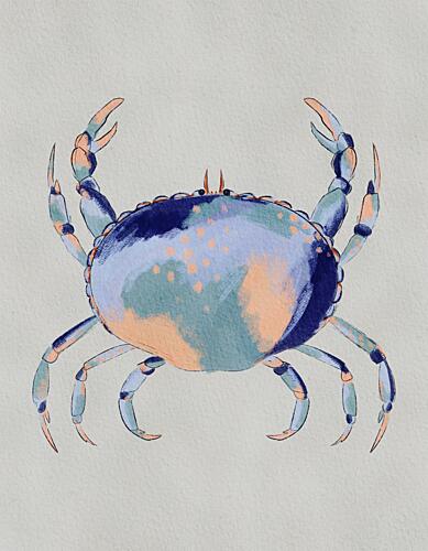 Serene Blue Crab Plage reproduction