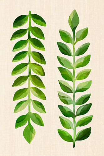 Fresh Green Leaves Art Print