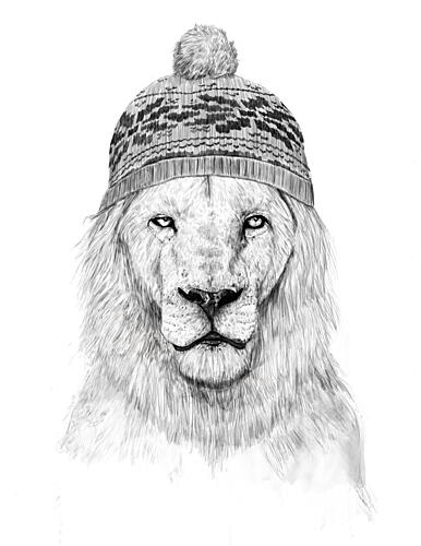 Cool Lion Beanie Art Print