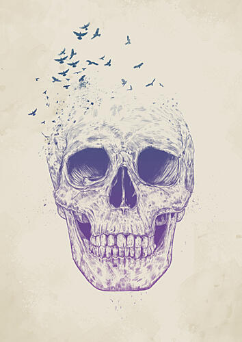 Ethereal Skull Birds Art Print