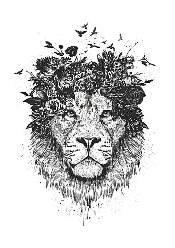 Majestic Lion Blooms Art Print