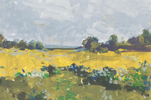 Serene Yellow Fields Art Print by Cartissi