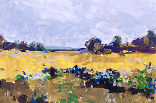 Golden Summer Field Art Print