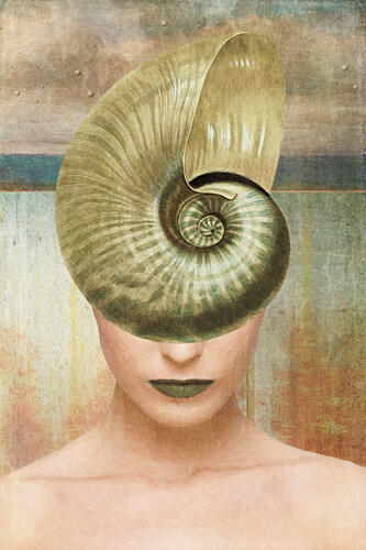 Nautilus Shell Portrait Surréaliste reproduction