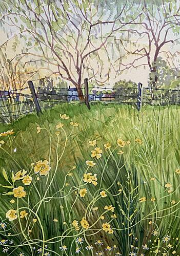 Meadow Flowers and Fence Art Print by Luisa Millicent