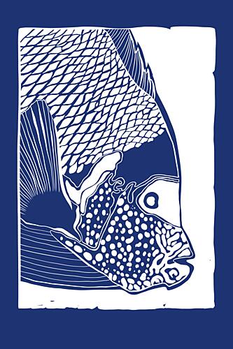 Indigo Tropical Fish Minimaliste reproduction