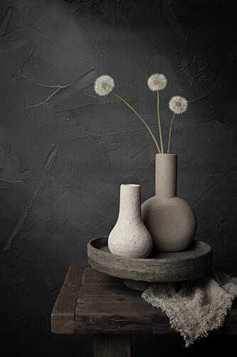 Earthy Dandelion Vases Art Print by Mayra Pama