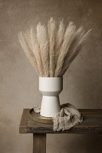 Modern Pampas Still Life Art Print by Mayra Pama