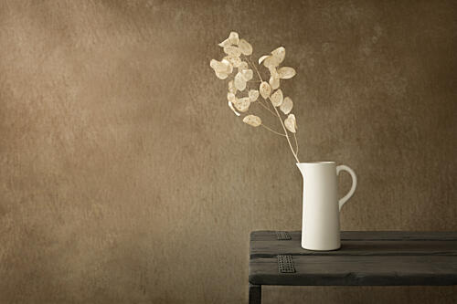 White Pitcher Dried Plant Art Print