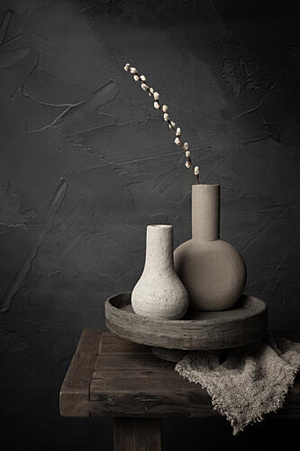 Earthy Vases Willow Art Print by Mayra Pama