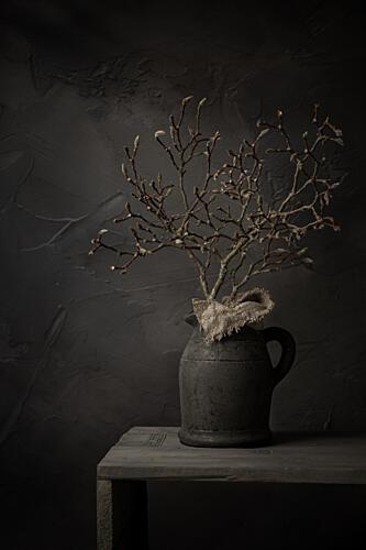 Rustic Branch Still Life Art Print
