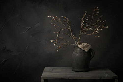 Moody Budding Branches Art Print by Mayra Pama