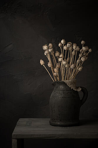 Moody Dried Poppy Pods Art Print by Mayra Pama