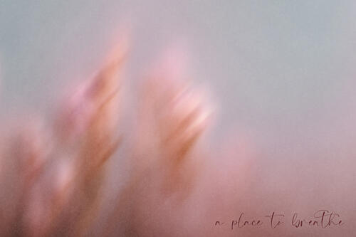 Soft Pink Dream Art déco reproduction