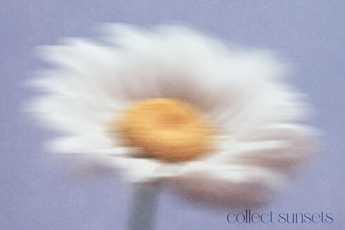 Dreamy White Bloom Art déco reproduction