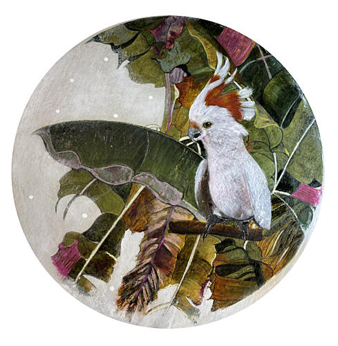 White Cockatoo in Jungle Animaux reproduction