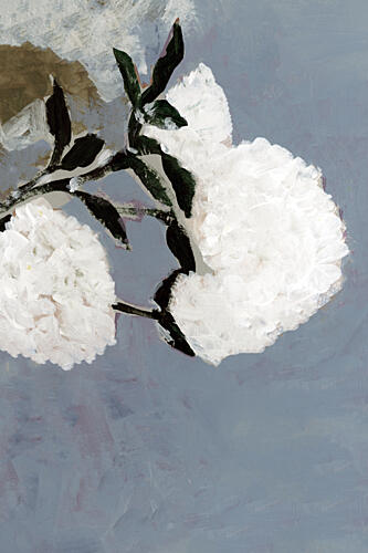 Soft White Blooms Moderne reproduction