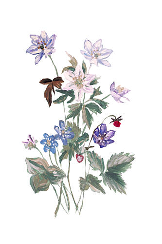Wildflower Watercolor Bouquet Art Print