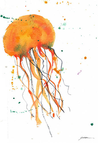Orange Watercolor Jellyfish Océan reproduction