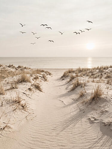 Peaceful Sandy Path Océan reproduction