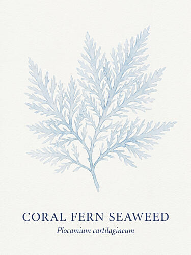 Blue Coral Fern Art Print