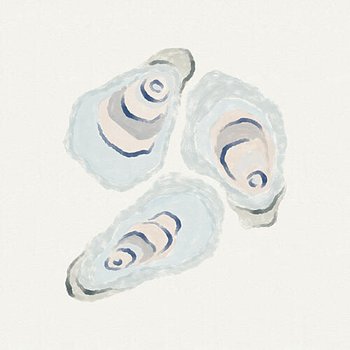 Blue Oysters Océan reproduction