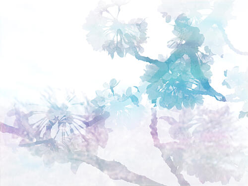Dreamy Cherry Blossoms Art abstrait reproduction