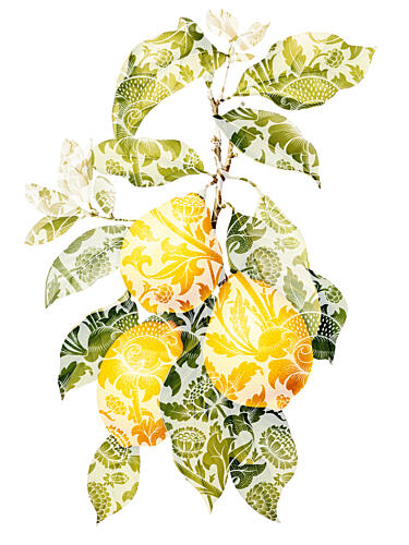 Elegant Patterned Lemons Art déco reproduction