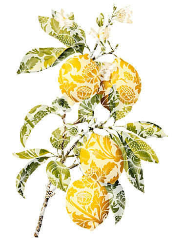 Golden Patterned Lemons Art Print
