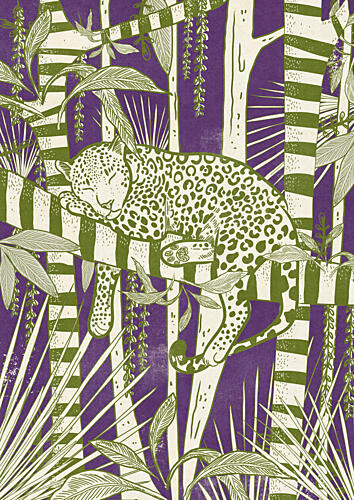 Sleeping Jungle Leopard Animaux reproduction
