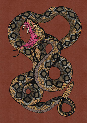 Striking Rattlesnake Animaux reproduction