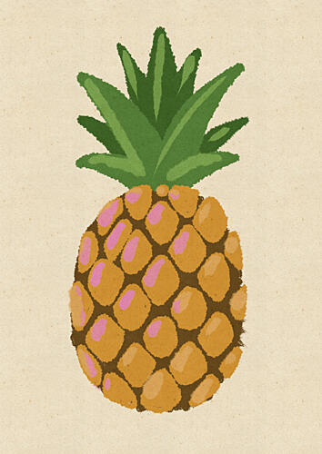 Fresh Tropical Pineapple Alimentation reproduction