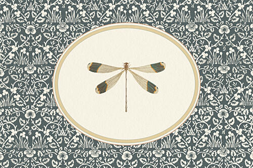 Elegant Dragonfly Vignette Animaux reproduction
