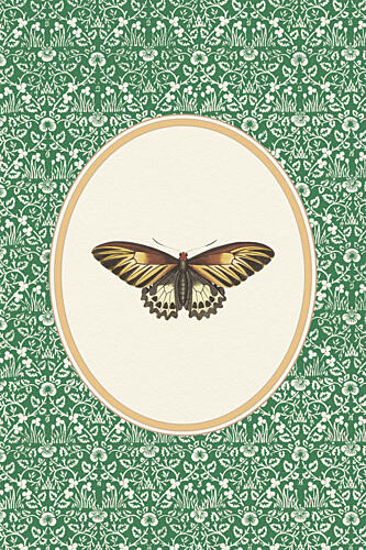 Green Botanical Butterfly Art Print by Wild Violets