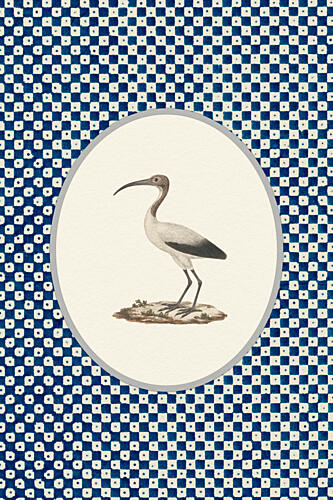 Classic Ibis Blue Pattern Animaux reproduction