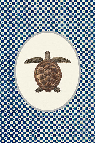 Shibori Sea Turtle Océan reproduction
