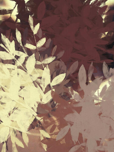Earthy Autumn Leaves Art Print