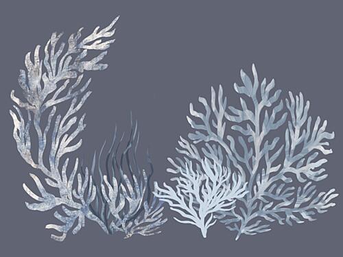 Underwater Blue Coral Océan reproduction