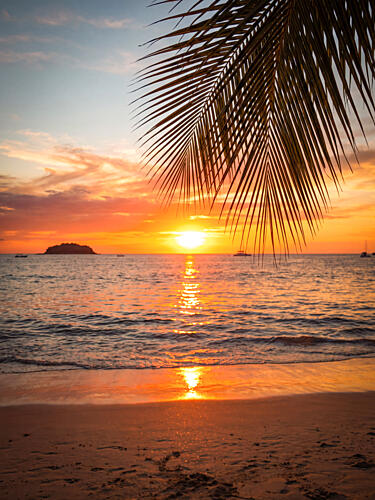Tropical Beach Sunset Océan reproduction