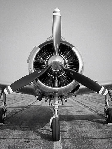 Polished Vintage Aircraft Art Print