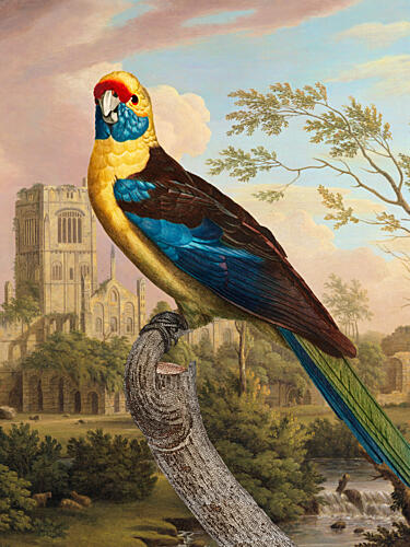 Colorful Parrot Ruins Art Print by Marja van den Hurk